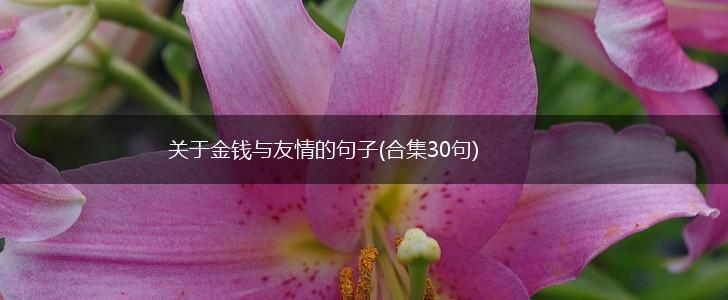 关于金钱与友情的句子(合集30句),第1张