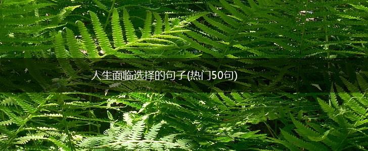 人生面临选择的句子(热门50句),第1张