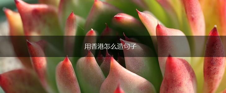 用香港怎么造句子,第1张