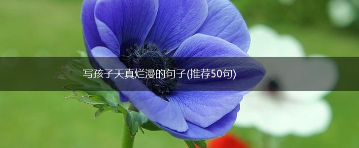 写孩子天真烂漫的句子(推荐50句),第1张