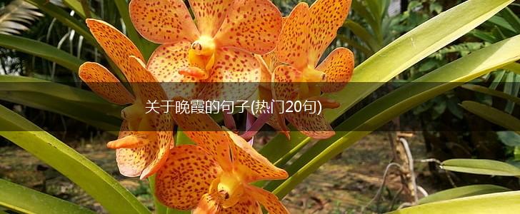 关于晚霞的句子(热门20句),第1张