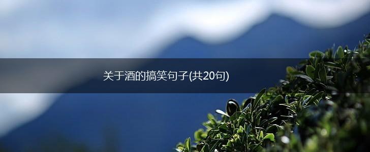 关于酒的搞笑句子(共20句),第1张