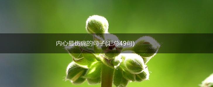 内心最伤痛的句子(汇总49句),第1张