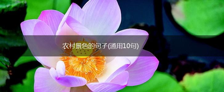 农村景色的句子(通用10句),第1张