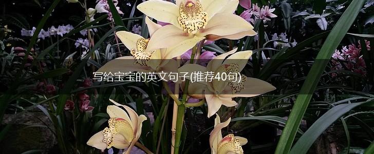 写给宝宝的英文句子(推荐40句),第1张