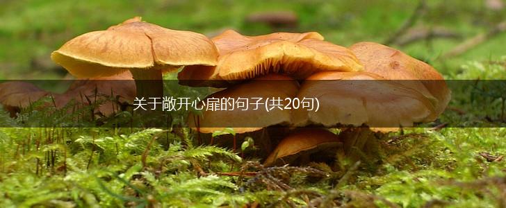 关于敞开心扉的句子(共20句),第1张