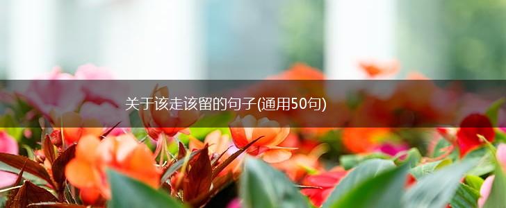 关于该走该留的句子(通用50句),第1张
