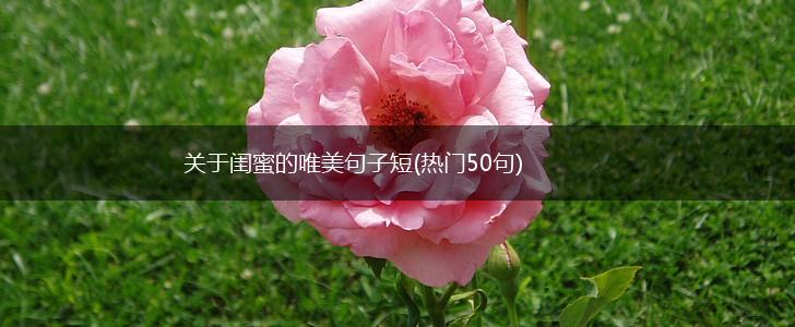 关于闺蜜的唯美句子短(热门50句),第1张
