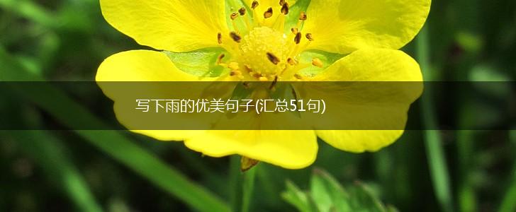 写下雨的优美句子(汇总51句),第1张