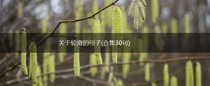 关于轮滑的句子(合集30句),第1张
