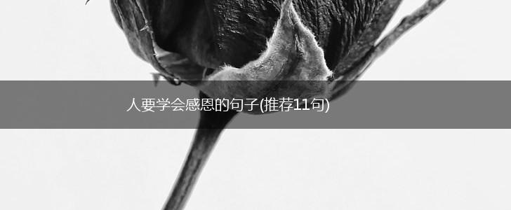 人要学会感恩的句子(推荐11句),第1张