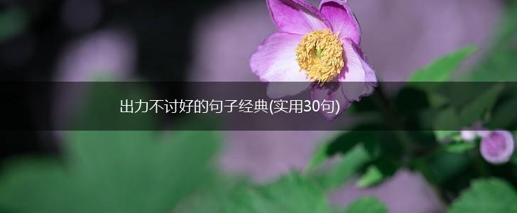 出力不讨好的句子经典(实用30句),第1张