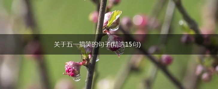 关于五一搞笑的句子(精选15句),第1张