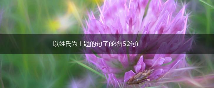 以姓氏为主题的句子(必备52句),第1张