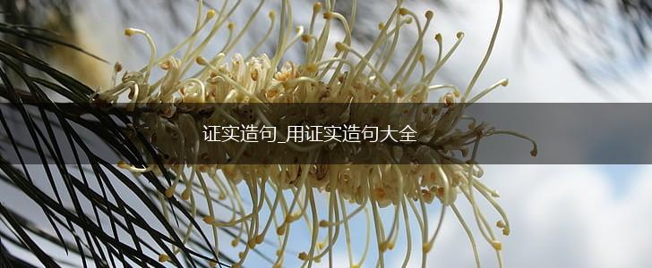 证实造句_用证实造句大全,第1张
