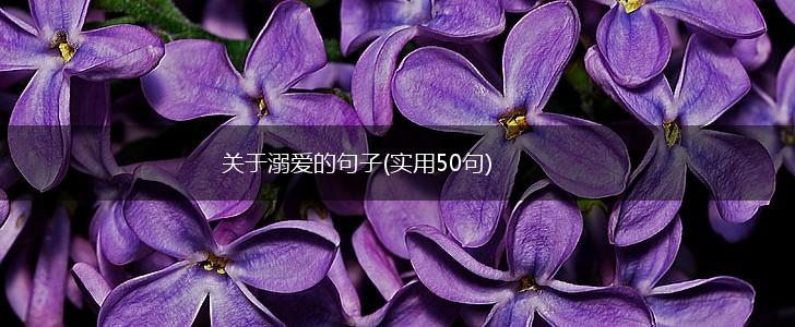 关于溺爱的句子(实用50句),第1张