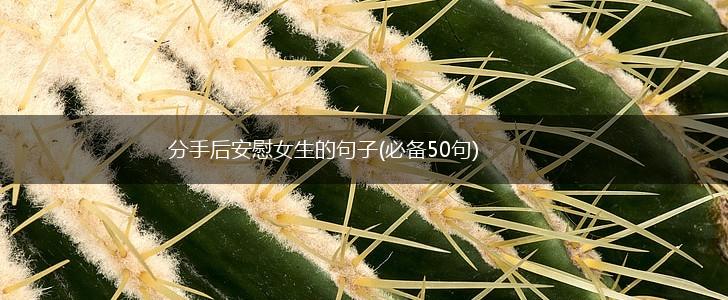 分手后安慰女生的句子(必备50句),第1张