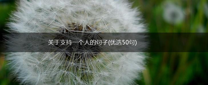 关于支持一个人的句子(优选50句),第1张