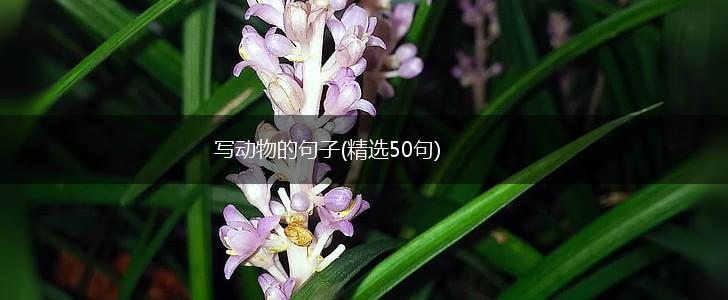 写动物的句子(精选50句),第1张