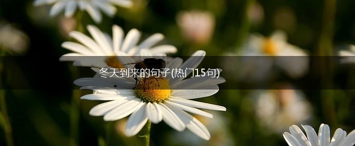 冬天到来的句子(热门15句),第1张