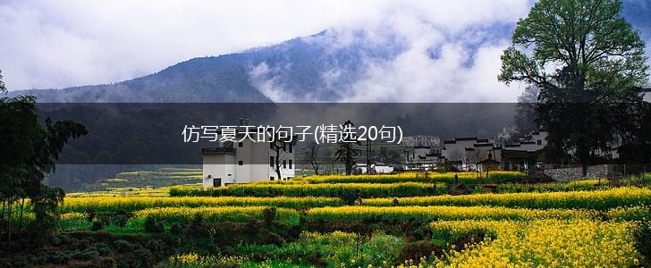 仿写夏天的句子(精选20句),第1张