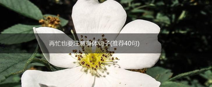 再忙也要注意身体句子(推荐40句),第1张