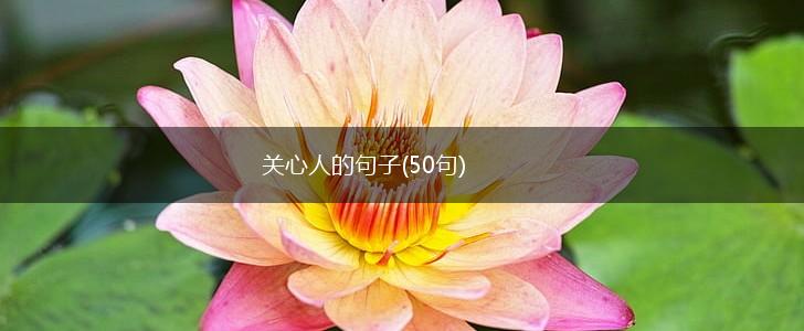 关心人的句子(50句),第1张