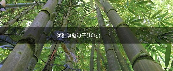 优雅旗袍句子(10句),第1张