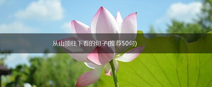 从山顶往下看的句子(推荐50句),第1张