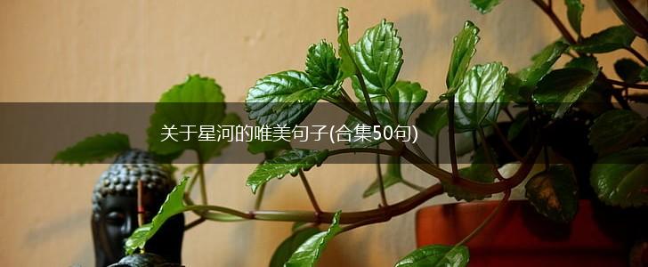 关于星河的唯美句子(合集50句),第1张