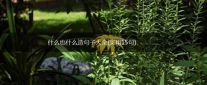 什么也什么造句子大全(实用15句),第1张