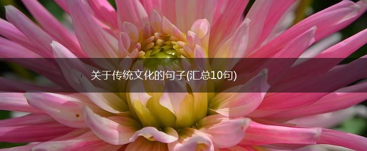 关于传统文化的句子(汇总10句),第1张