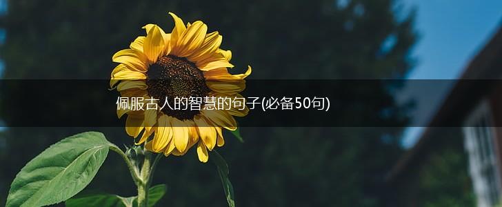 佩服古人的智慧的句子(必备50句),第1张