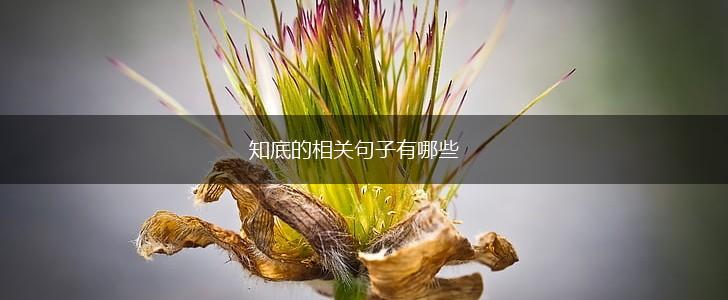 知底的相关句子有哪些,第1张