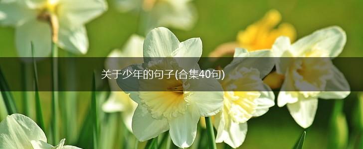关于少年的句子(合集40句),第1张