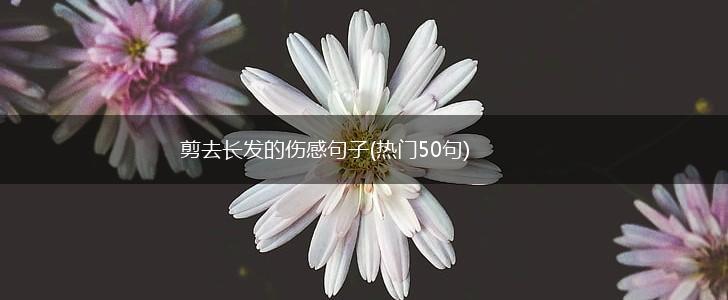 剪去长发的伤感句子(热门50句),第1张