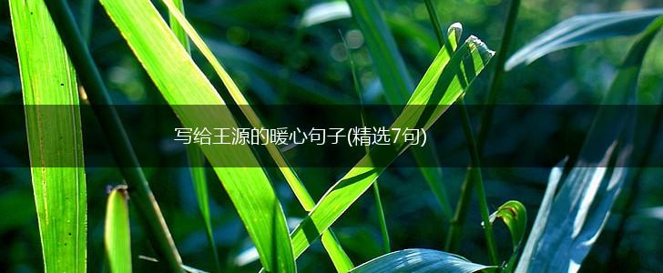 写给王源的暖心句子(精选7句),第1张