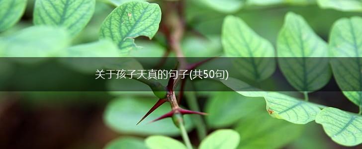 关于孩子天真的句子(共50句),第1张