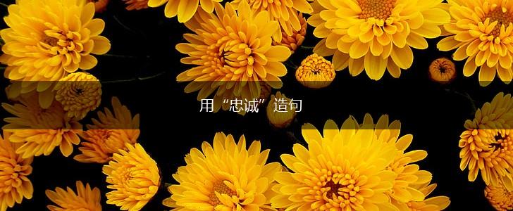 用“忠诚”造句,第1张