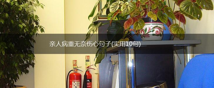 亲人病重无奈伤心句子(实用10句),第1张