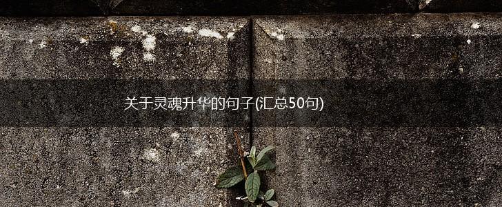 关于灵魂升华的句子(汇总50句),第1张