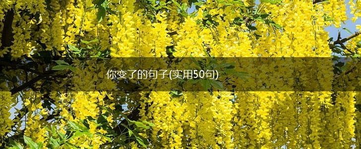 你变了的句子(实用50句),第1张