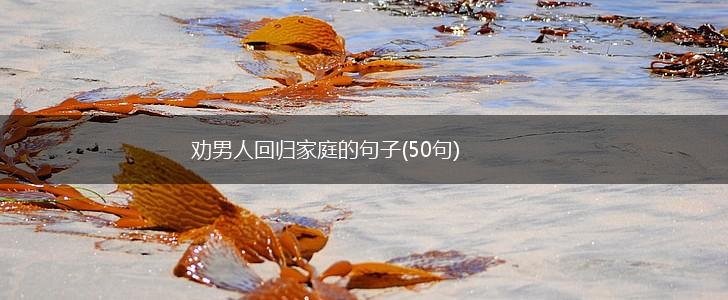 劝男人回归家庭的句子(50句),第1张