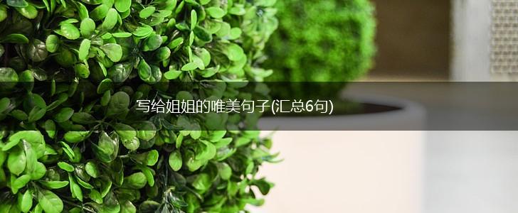 写给姐姐的唯美句子(汇总6句),第1张