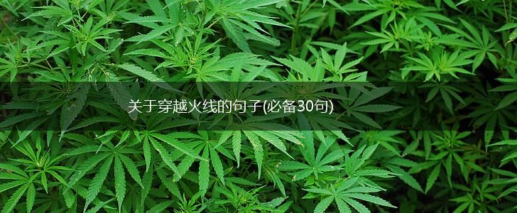 关于穿越火线的句子(必备30句),第1张