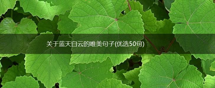 关于蓝天白云的唯美句子(优选50句),第1张