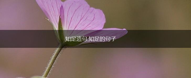 知足造句,知足的句子,第1张
