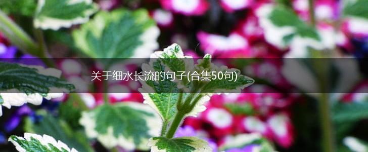 关于细水长流的句子(合集50句),第1张