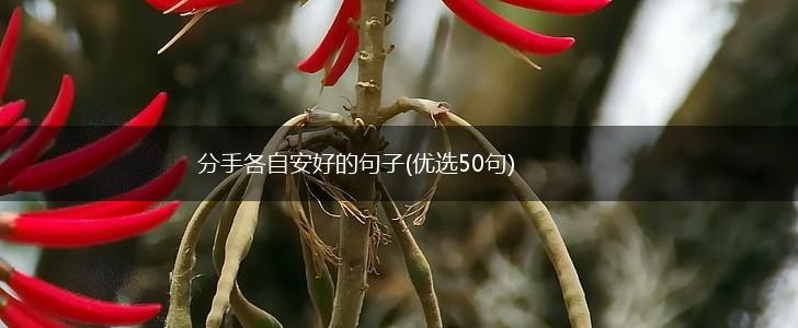 分手各自安好的句子(优选50句),第1张