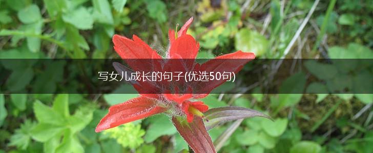 写女儿成长的句子(优选50句),第1张